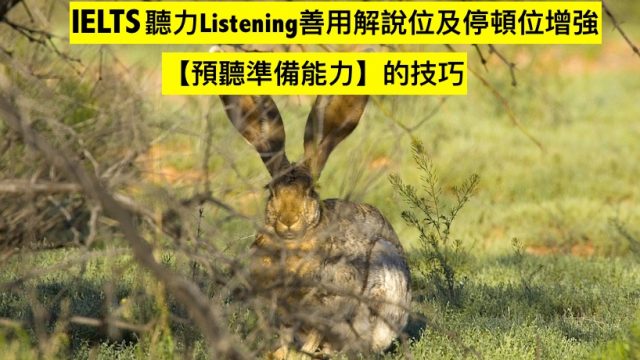 IELTS聽力Listening善用解說位及停頓位增強【預聽準備能力】的技巧